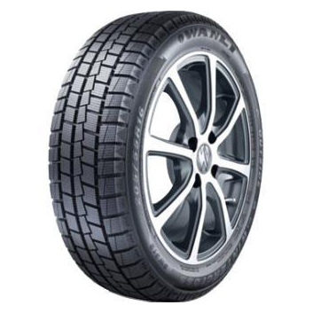 245/55R19 SUNNY NW312 103S...